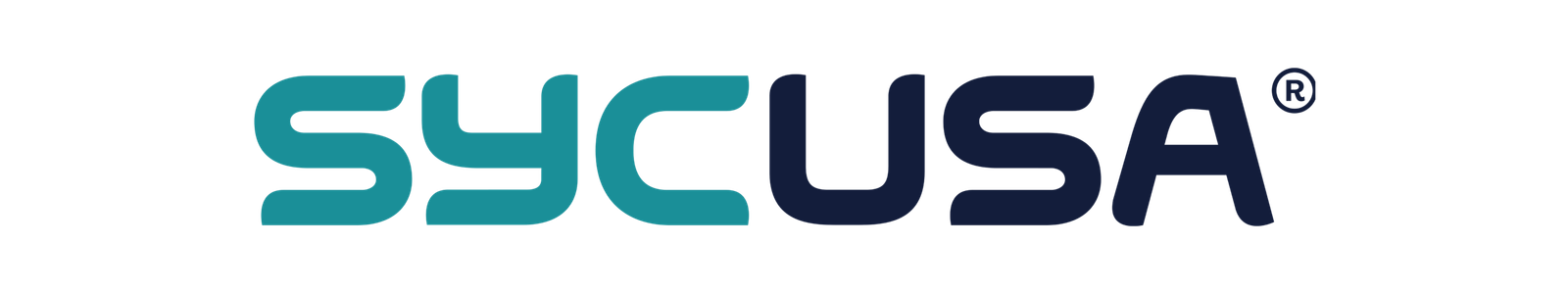 LOGO SYCUSA 2023