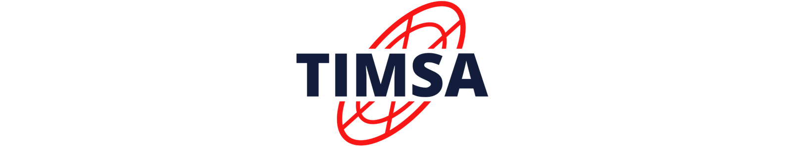 LOGO TIMSA 2023